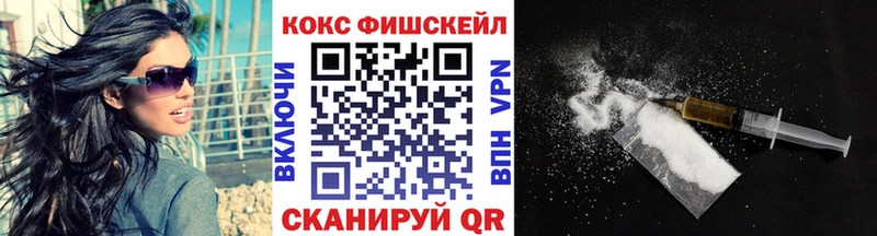 Купить закладки  Мариинск  Cocaine Fish Scale 