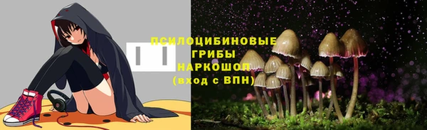 эйфоретик Костерёво
