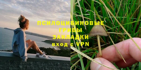 эйфоретик Костерёво