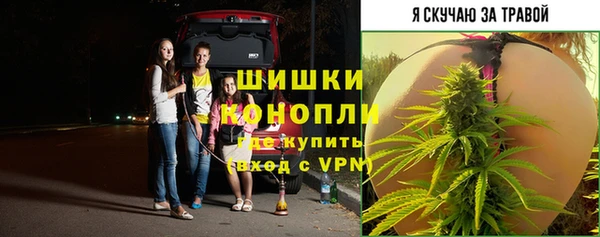меф Корсаков