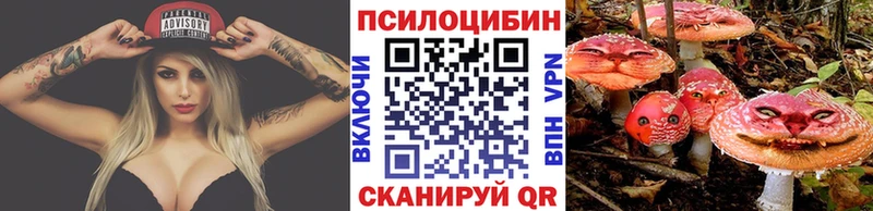 Купить  Мариинск  Галлюциногенные грибы Cubensis 